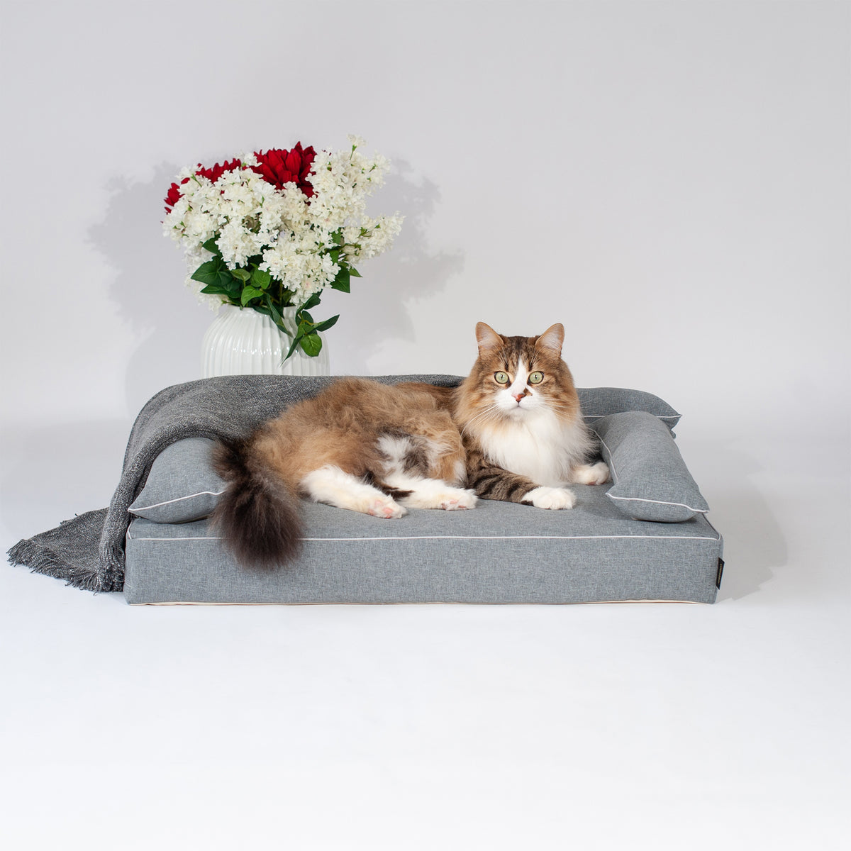 Cat resting on ANBERSO Royal Bed with Cammy Irish Gray bolster cover