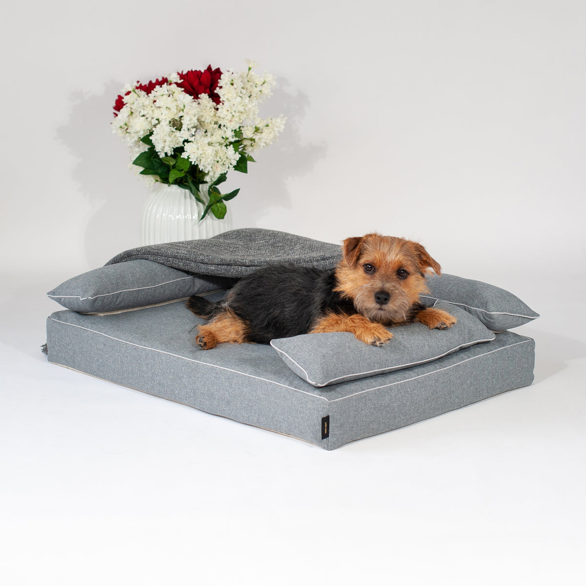 Dog resting on ANBERSO Royal Bed with Cammy Irish Gray bolster cover