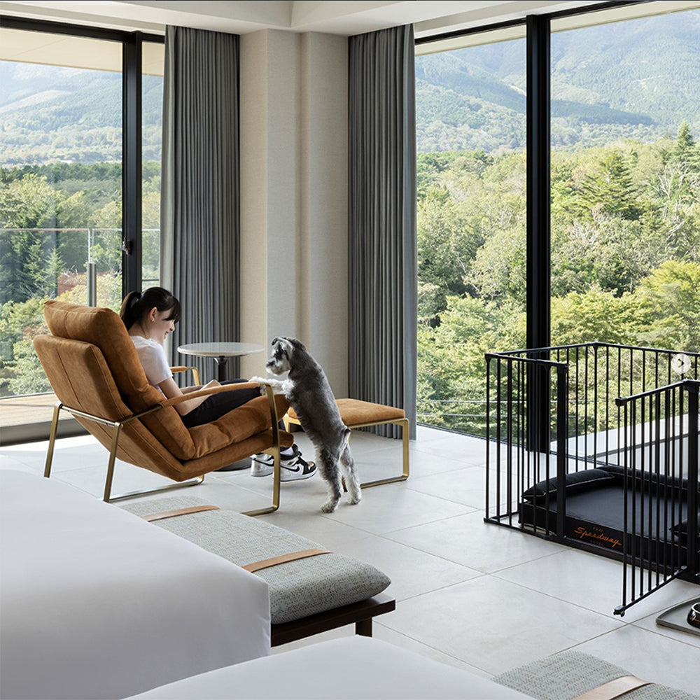 ANBERSO orthopedic dog beds used in luxury pet hotels and veterinary clinics